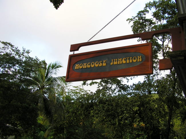 mongoose junction
